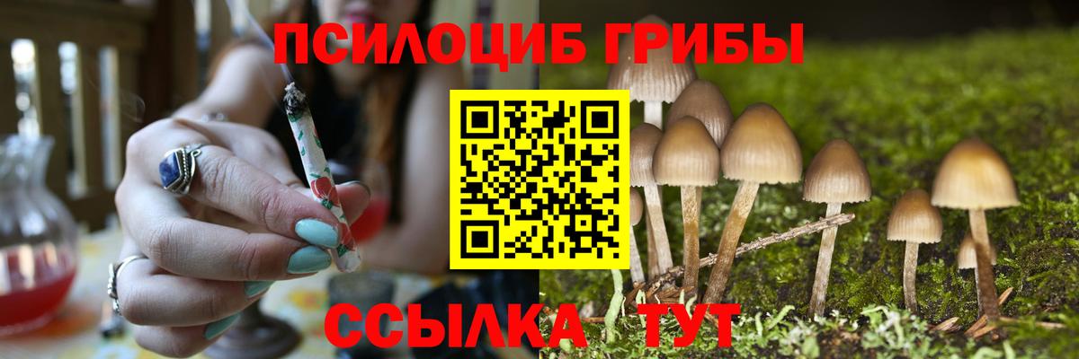 Галлюциногенные грибы Psilocybine cubensis  Вход с VPN  где найти наркотики  Белгород 